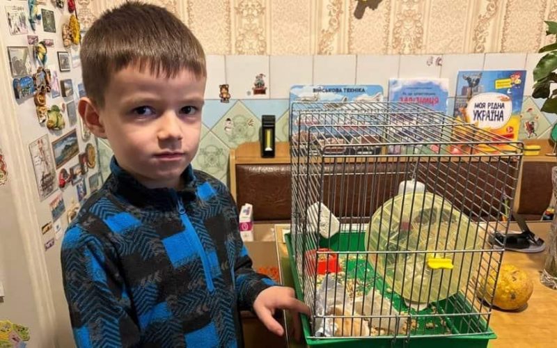 Лишився без подарунків, але нагодував майже 60 тварин: як першокласник із Малина займається благодійністю