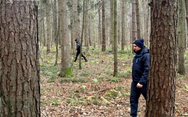 Рятувальники з БпЛА шукали зниклого в лісі 75-річного жителя Житомирщини
