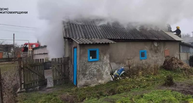 У Малині рятувальники ліквідували пожежу в літній кухні та врятували чотирьох кроликів