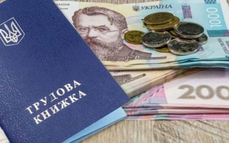 Навчання, компенсації та нові можливості: як на Житомирщині служба зайнятості допомагає переселенцям знайти роботу