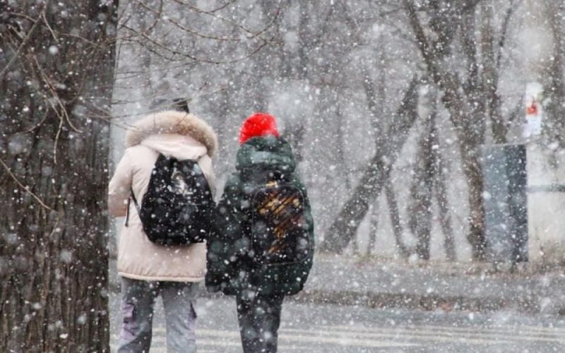 Коли на території Коростенщини розпочнуться зимові канікули