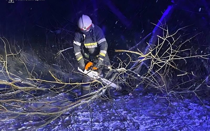 Поблизу двох сіл на Малинщині рятувальники розчищали дорогу від повалених негодою дерев
