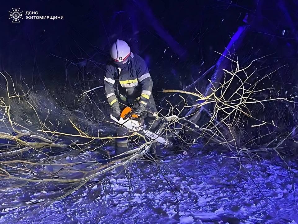Поблизу двох сіл на Малинщині рятувальники розчищали дорогу від повалених негодою дерев