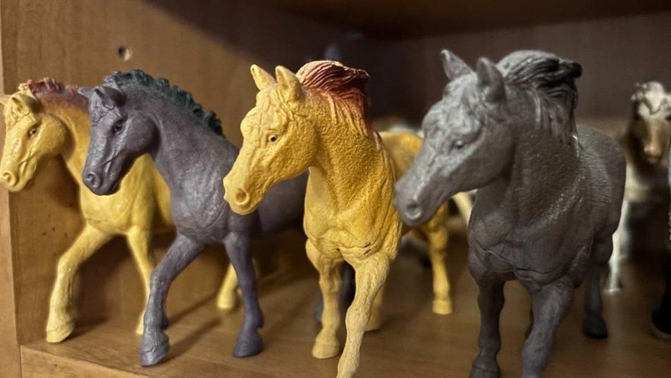 Одинадцятикласниця з Малина зібрала колекцію з 200 фігурок коней