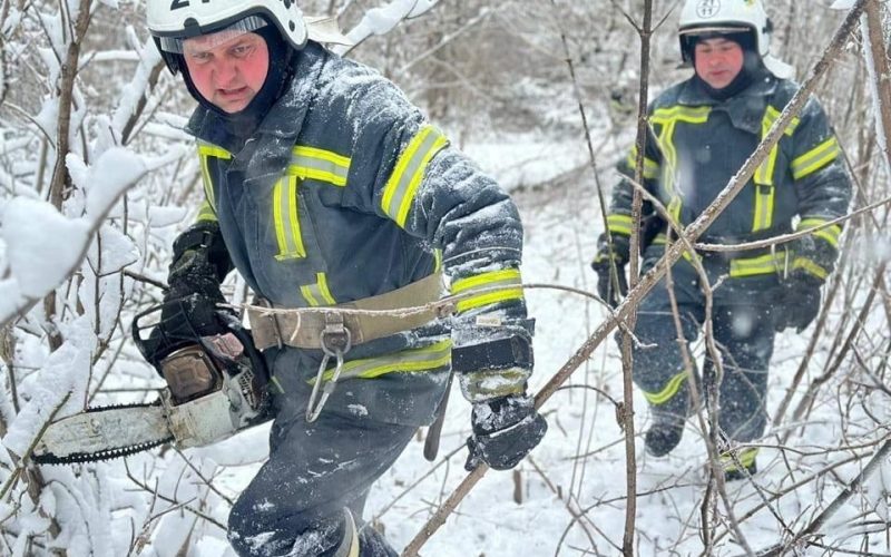 У Житомирській області через негоду аварійно знеструмлено 26 населених пунктів