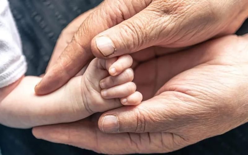 Смертність утричі більша за народжуваність: демографічна ситуація на Житомирщині у 2025 році