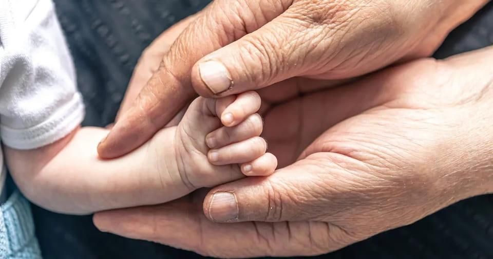 Смертність утричі більша за народжуваність: демографічна ситуація на Житомирщині у 2025 році