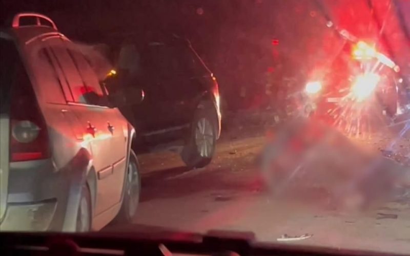 На автотрасі в Житомирській області два авто наїхали на биків, які втекли з ферми