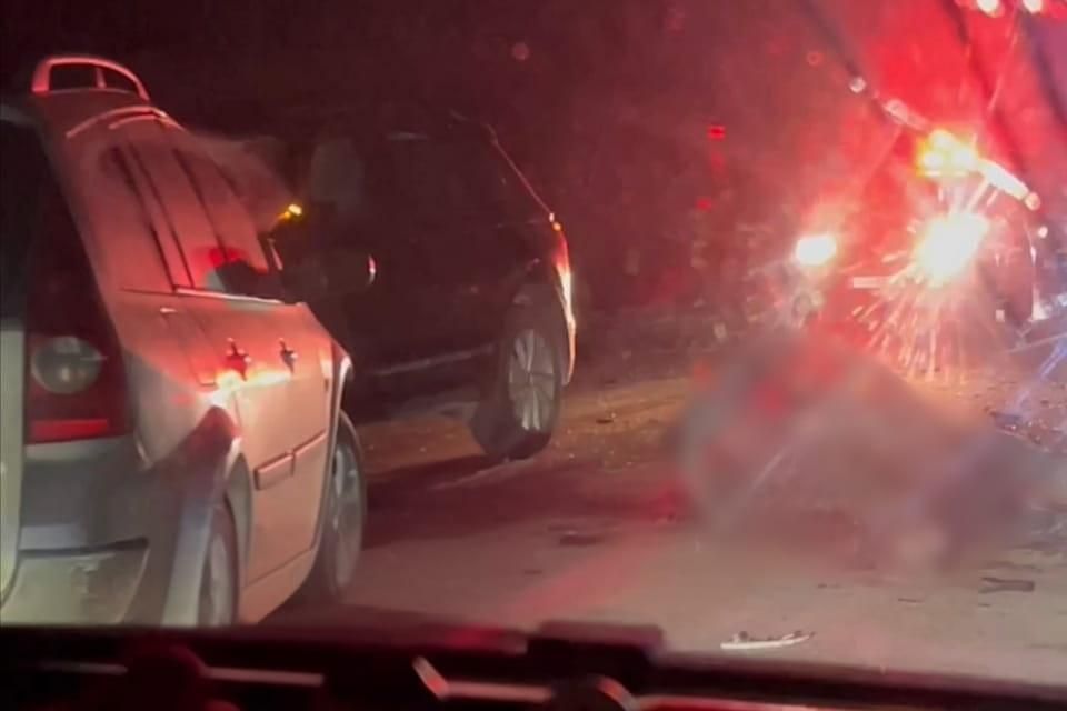 На автотрасі в Житомирській області два авто наїхали на биків, які втекли з ферми