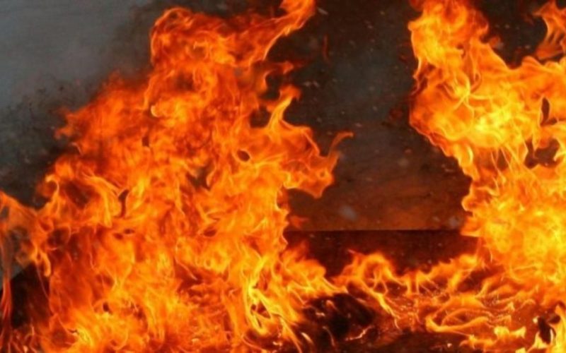 На Житомирщині з початку року сталося понад 300 пожеж: 14 людей загинули