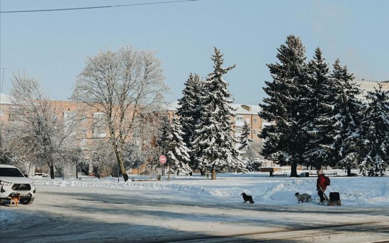 Вихідні у Коростенському районі будуть сніжними та морозними: синоптики попереджають про ожеледицю