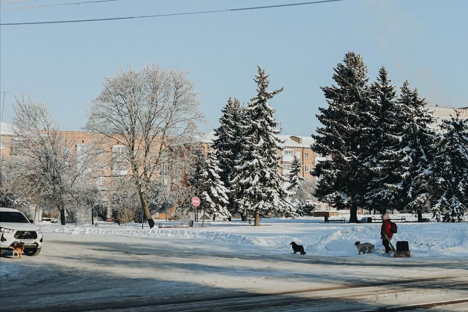 Вихідні у Коростенському районі будуть сніжними та морозними: синоптики попереджають про ожеледицю