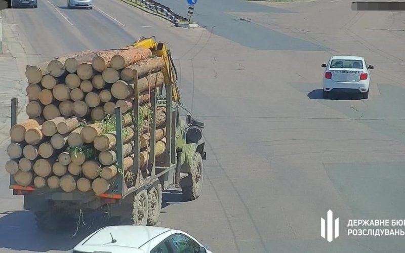 На Житомирщині судитимуть посадовців ДП «Ліси України» за розкрадання лісу на 1,5 млн грн