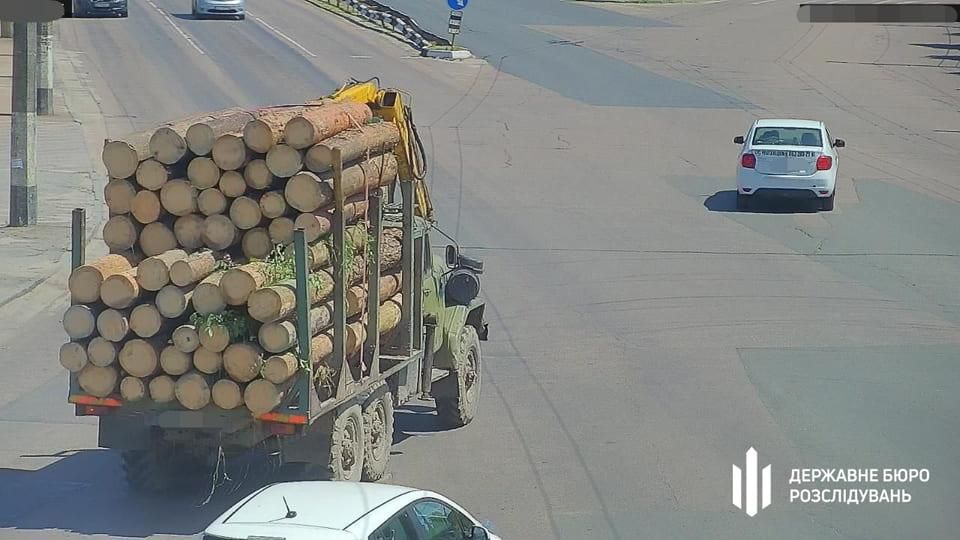 На Житомирщині судитимуть посадовців ДП «Ліси України» за розкрадання лісу на 1,5 млн грн