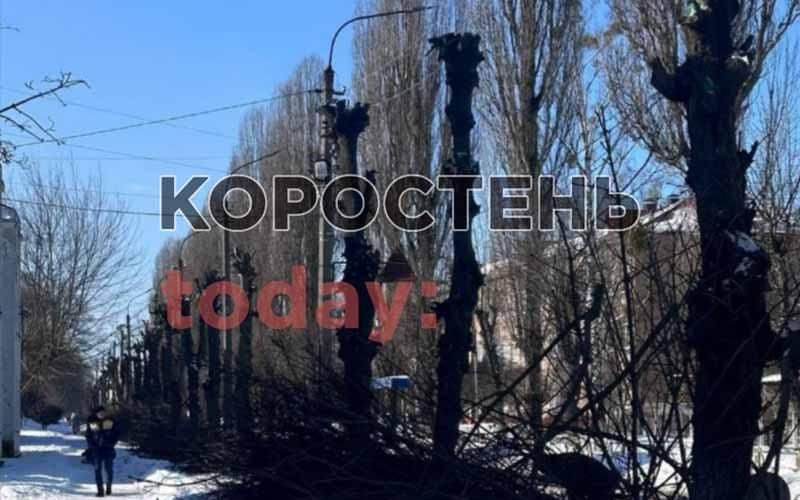 Біля Коростенського ліцею комунальники “познущалися” над деревами