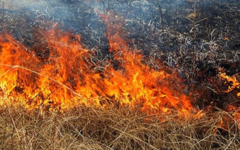 У селі на Олевщині горіла суха рослинність: вогонь встиг перекинутися на деревʼяний будинок
