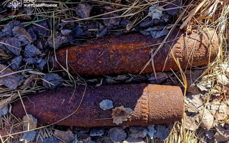 У лісі поблизу Малина піротехніки виявили два артснаряди
