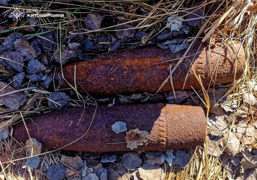 У лісі поблизу Малина піротехніки виявили два артснаряди