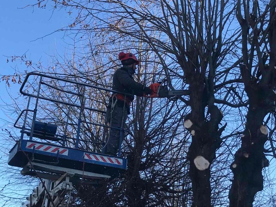 Овруцька громада оновлює зелені зони: комунальники кронують дерева на вулицях міста