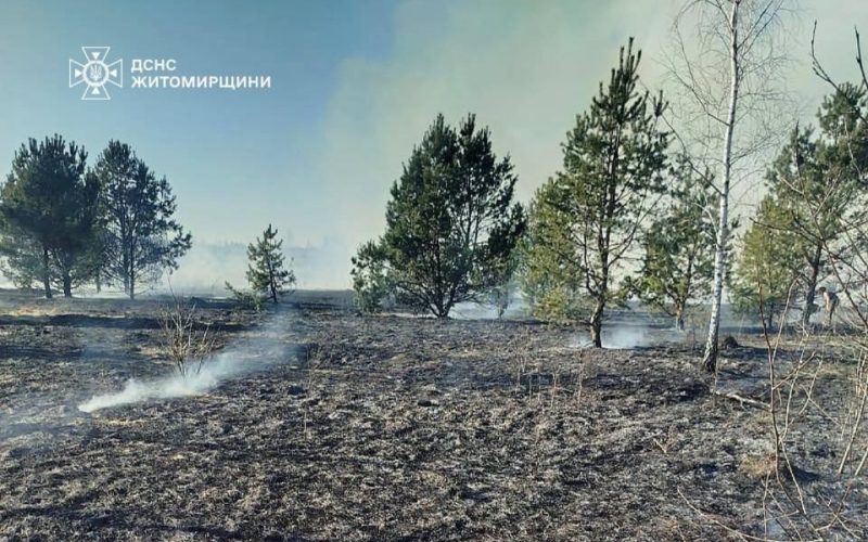 Пожежі сухостою охопили Коростенський та Житомирський райони — вогнеборці ліквідували чотири займання