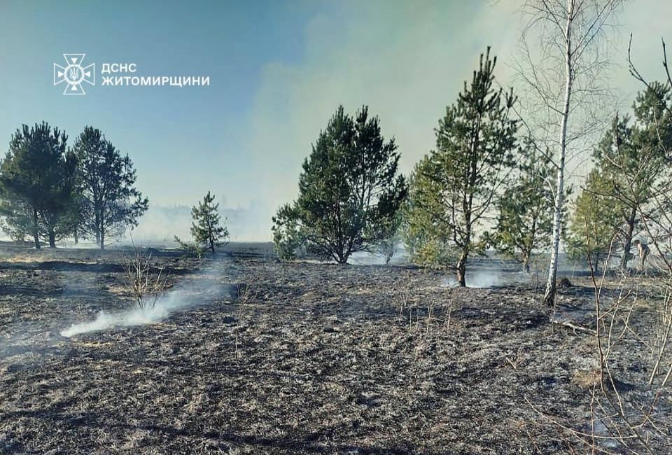 Пожежі сухостою охопили Коростенський та Житомирський райони — вогнеборці ліквідували чотири займання