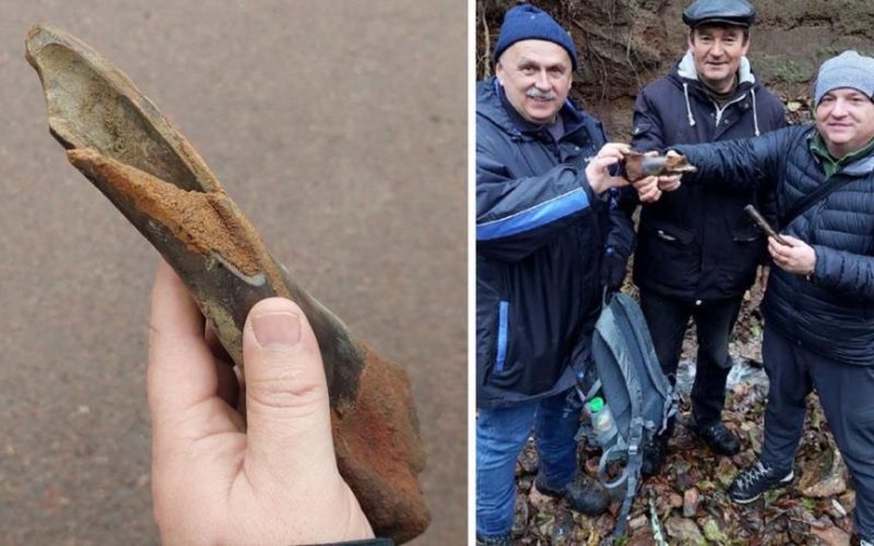 В Овруцькій громаді науковці виявили палеолітичну стоянку віком до 30 тис. років до нашої ери