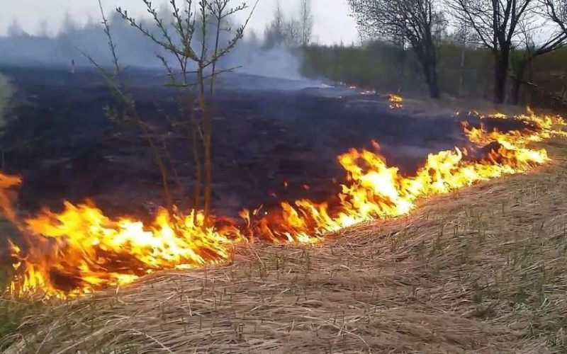 У селі на Житомирщині 16‑річний хлопець отримав опіки, допомагаючи гасити суху траву