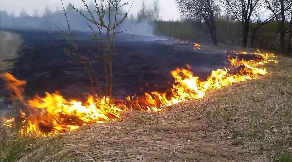 У селі на Житомирщині 16‑річний хлопець отримав опіки, допомагаючи гасити суху траву