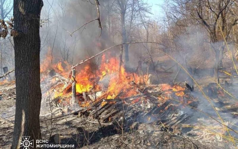 У селі на Олевщині через загорання сухої трави згоріла господарча будівля