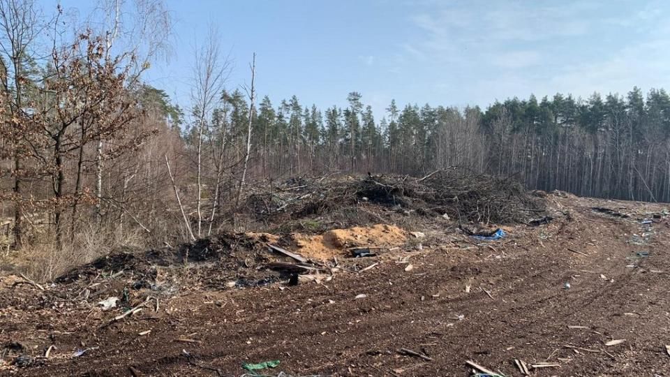 Суд зобов’язав відшкодувати Овруцькій громаді 1,5 млн грн збитків за засмічення лісових земель
