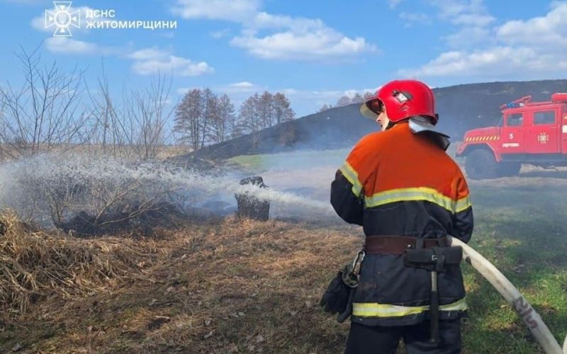 Велика пожежа у Коростені: вогонь охопив 2 га сухостою, існувала загроза для житлових будинків