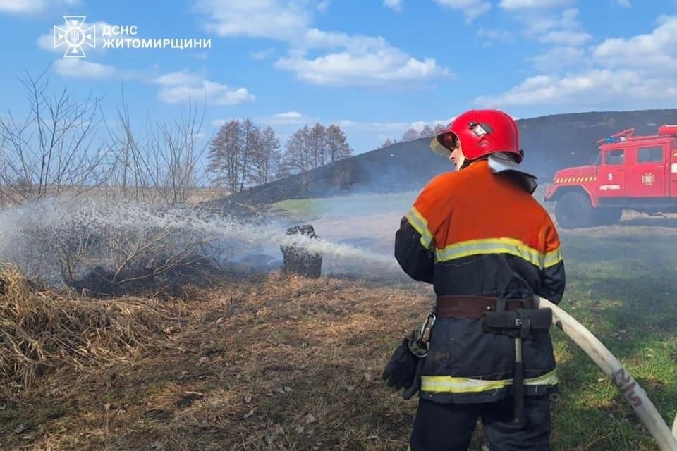 Велика пожежа у Коростені: вогонь охопив 2 га сухостою, існувала загроза для житлових будинків