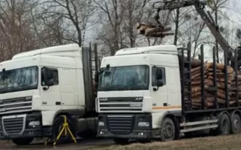Перевантажені лісовози одного перевізника двічі зупинили на трасі в Житомирській області