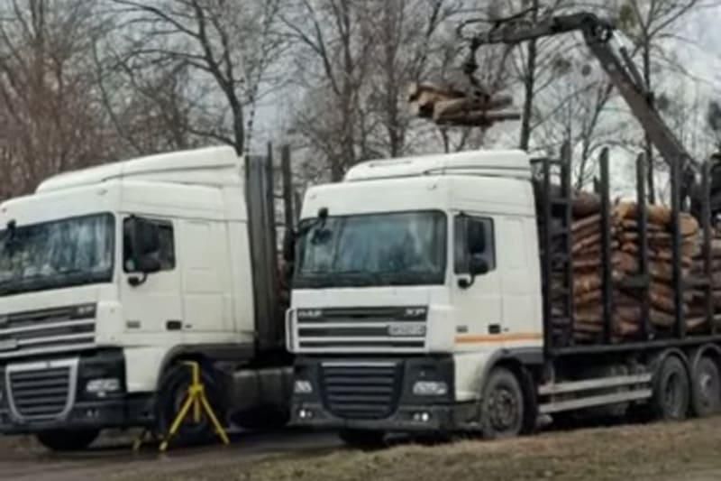 Перевантажені лісовози одного перевізника двічі зупинили на трасі в Житомирській області