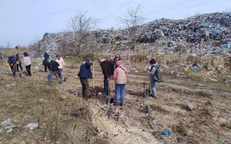 На полігоні твердих побутових відходів працівники коростенського КВГП висадили 40 беріз