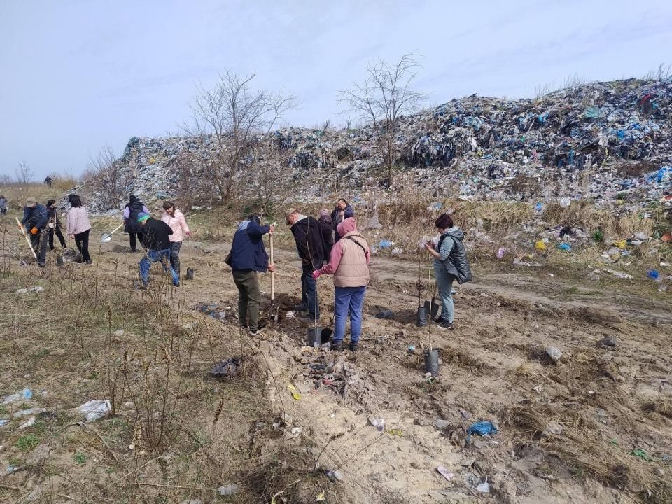 На полігоні твердих побутових відходів працівники коростенського КВГП висадили 40 беріз