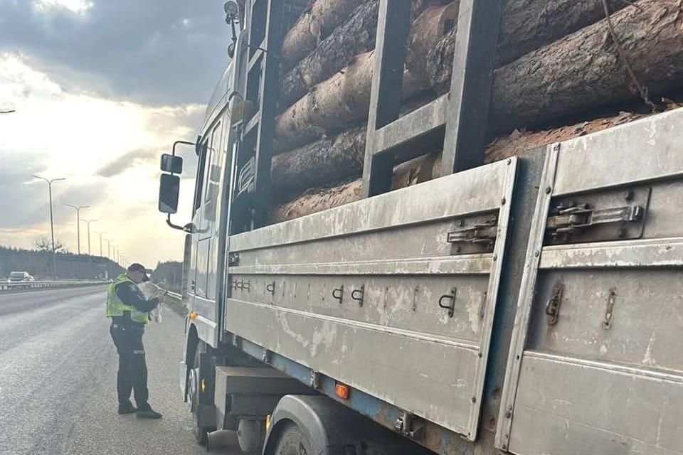Нетверезі за кермом і незаконна деревина: патрульні Житомирщини підбили підсумки березня