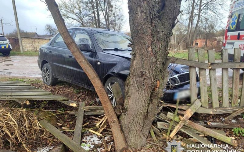 У селі на Олевщині водій ЗАЗ з’їхав за межі проїзної частини та врізався у дерево: чоловік загинув