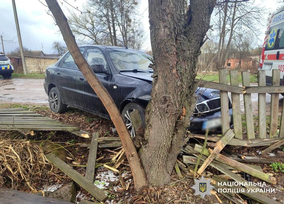 У селі на Олевщині водій ЗАЗ з’їхав за межі проїзної частини та врізався у дерево: чоловік загинув