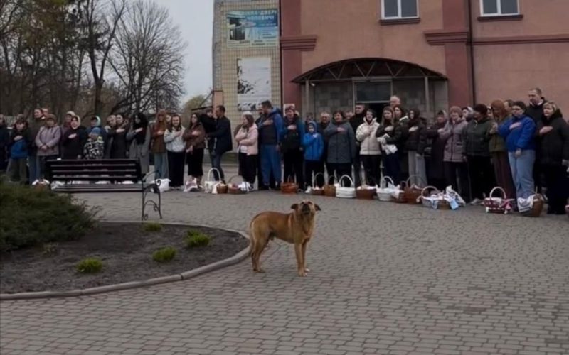 У Чоповичах пес щоранку приходить до Алеї Героїв: підспівує під час гімну