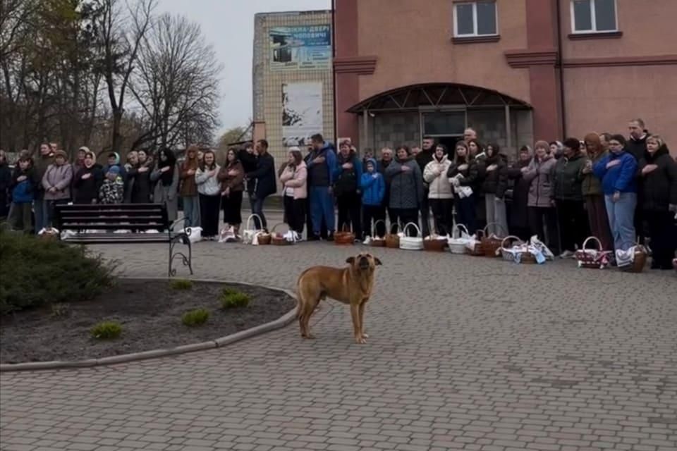 У Чоповичах пес щоранку приходить до Алеї Героїв: підспівує під час гімну