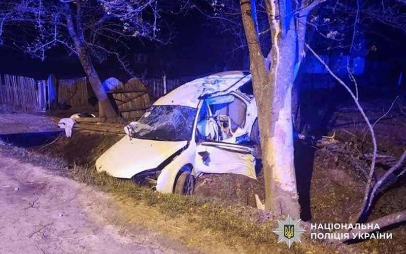 У селі на Житомирщині пʼяний водій на Ford врізався в дерево: загинув 12-річний хлопчик, ще одна пасажирка з дитиною у лікарні