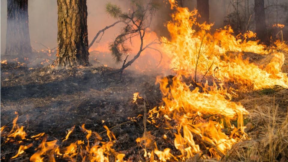 В Олевській громаді попереджають про високу пожежну небезпеку