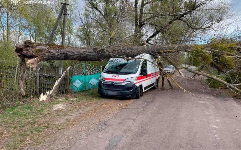 У селі неподалік Коростеня через сильні пориви вітру дерево впало на автомобіль “швидкої”