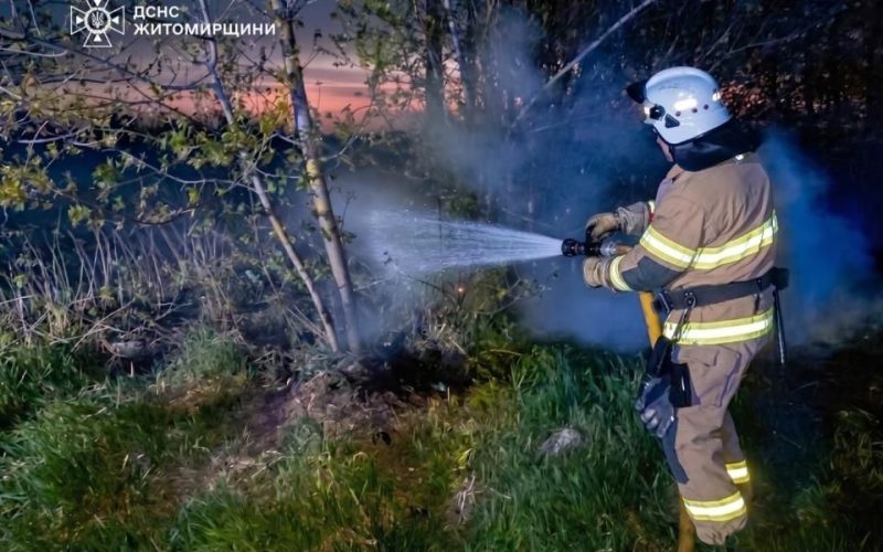 На території одного з сіл поблизу Коростеня сталася масштабна пожежа: вогонь охопив 2,5 га сухої трави