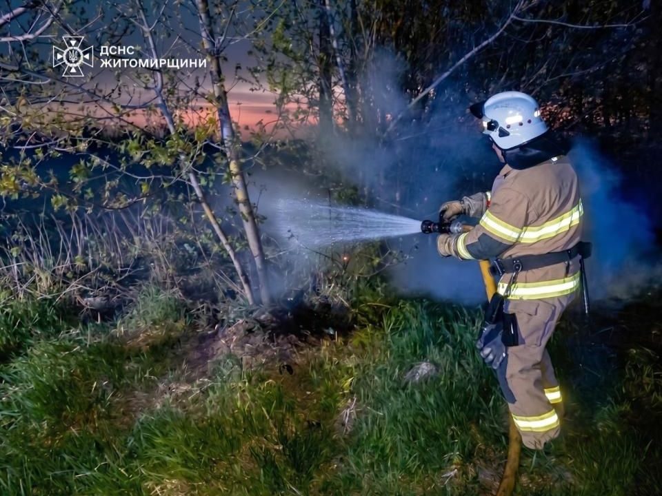 На території одного з сіл поблизу Коростеня сталася масштабна пожежа: вогонь охопив 2,5 га сухої трави