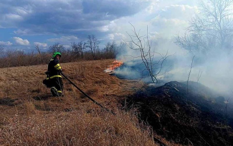 На Олевщині вогонь зупинили перед житловими будинками