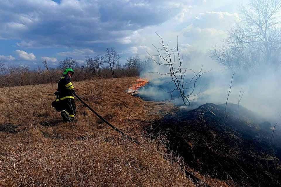 На Олевщині вогонь зупинили перед житловими будинками