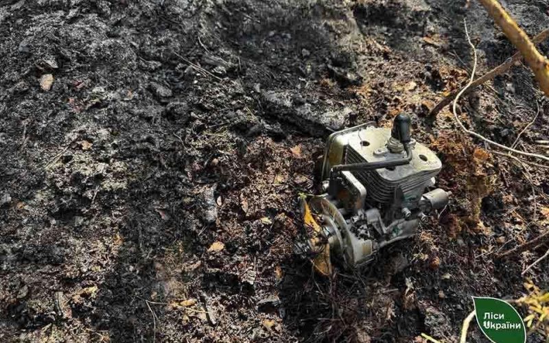 У лісі на Житомирщині через падіння уламків шахеда сталася пожежа