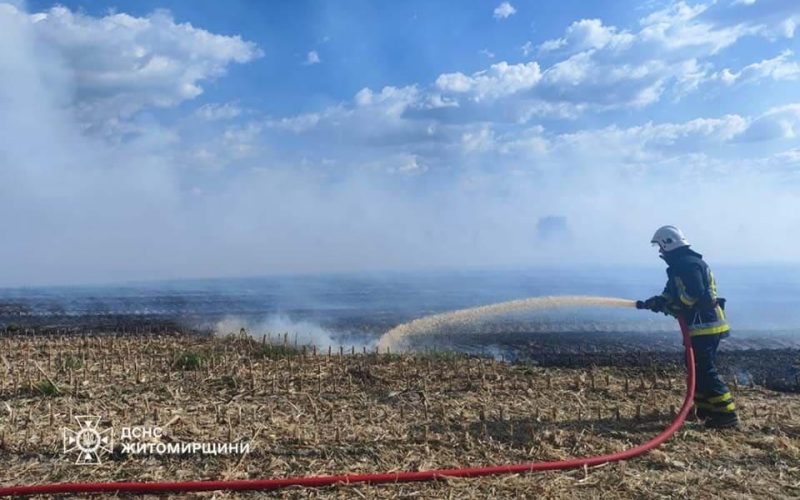 Вогнеборці розповіли про наймасштабнішу пожежу в селі Коростенського району: горіло 2,5 га сухостою